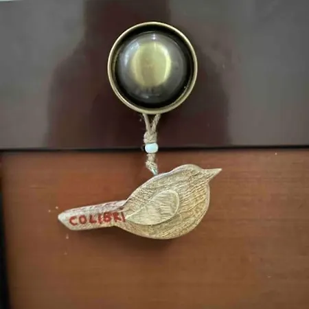 Colibri /center شقة